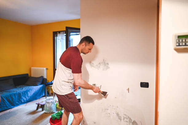 Certified Mold Removal in Wernersville, PA